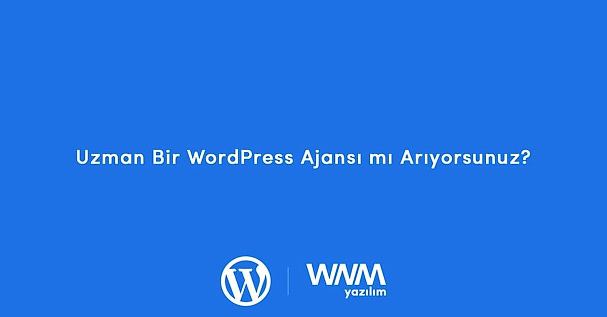 Uzman Bir WordPress Ajansı mı Arıyorsunuz?